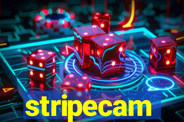 stripecam