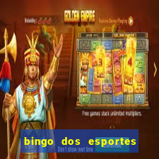 bingo dos esportes para imprimir