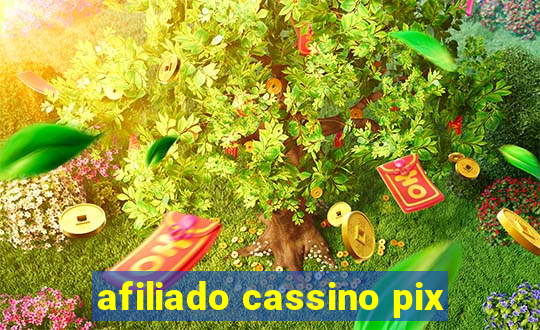 afiliado cassino pix