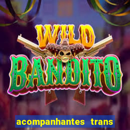 acompanhantes trans baixada fluminense