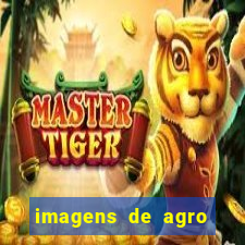 imagens de agro racoes guarani