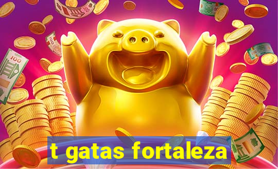 t gatas fortaleza