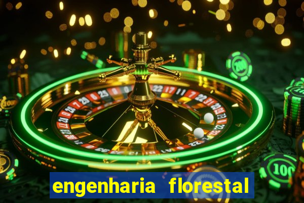 engenharia florestal ead cruzeiro do sul