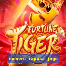 numero raposa jogo do bicho